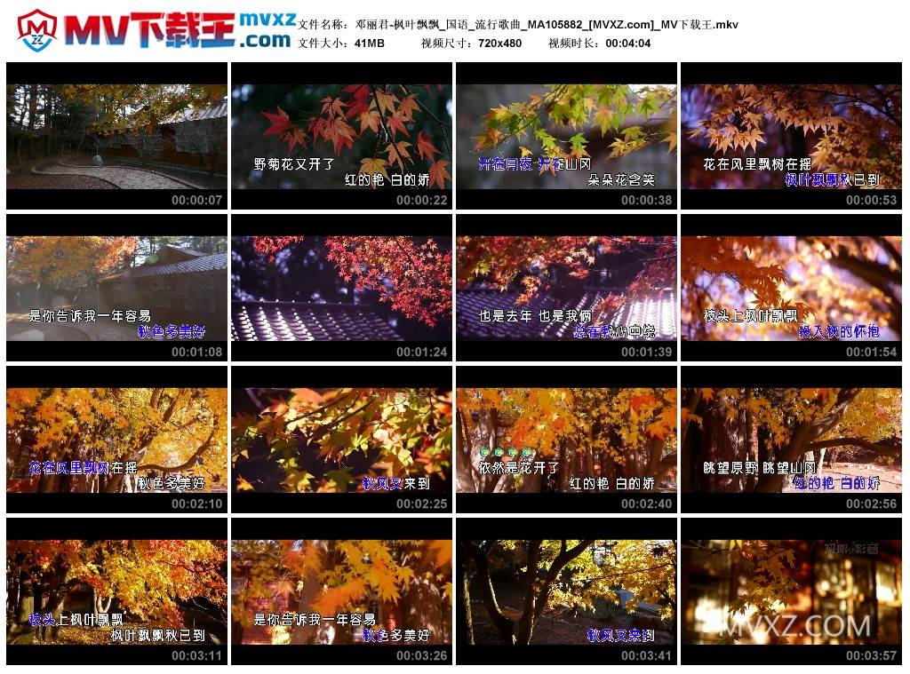 邓丽君-枫叶飘飘_国语_流行歌曲_MA105882